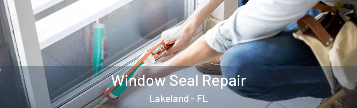  Window Seal Repair Lakeland - FL